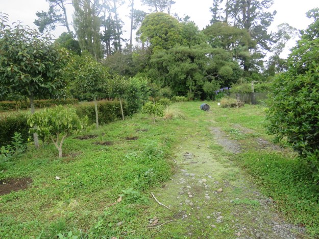 A blank canvas of about 250 square metres (I paced it out) 