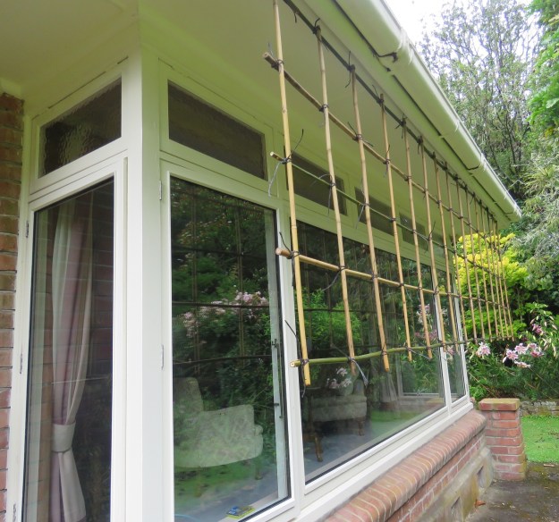 One solution to window-kill